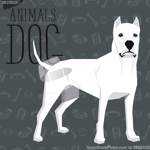 Image of Vector Dogs Collection