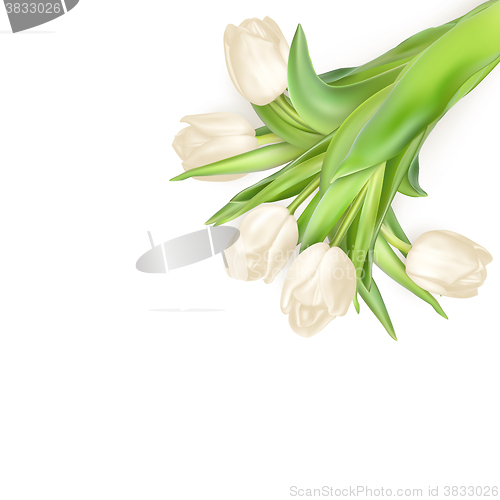 Image of Tulips decorative background. EPS 10