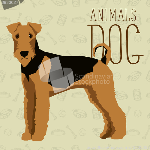 Image of Vector Dogs Collection