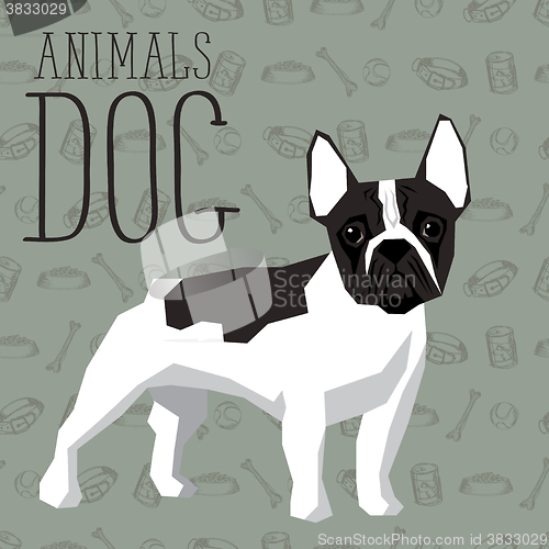 Image of Vector Dogs Collection