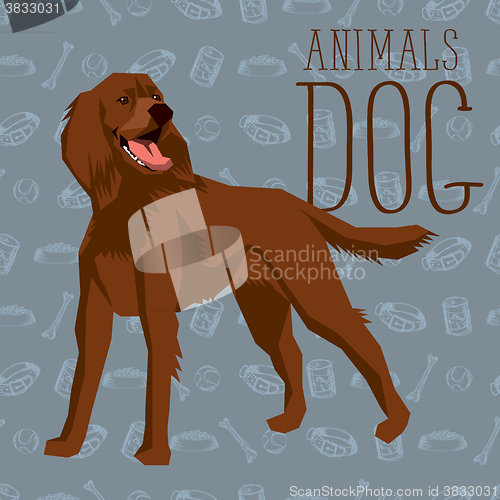 Image of Vector Dogs Collection