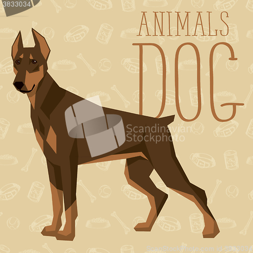 Image of Vector Dogs Collection