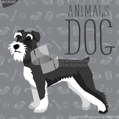 Image of Vector Dogs Collection