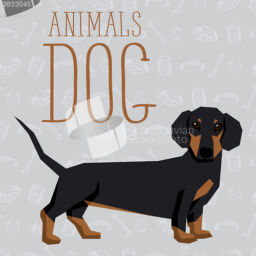 Image of Vector Dogs Collection