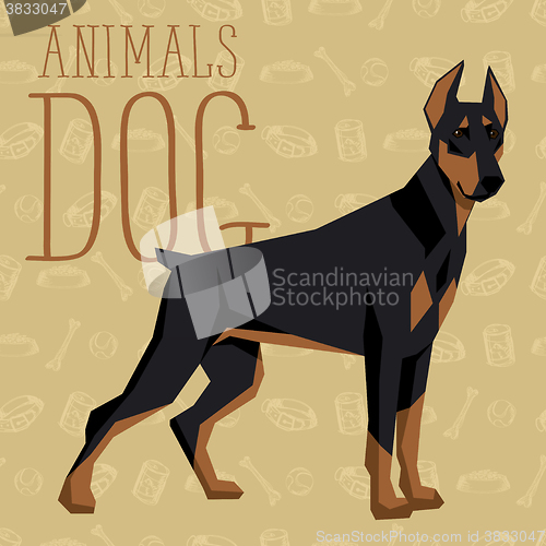 Image of Vector Dogs Collection