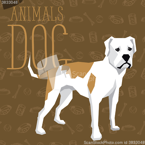 Image of Vector Dogs Collection