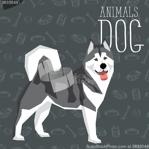 Image of Vector Dogs Collection