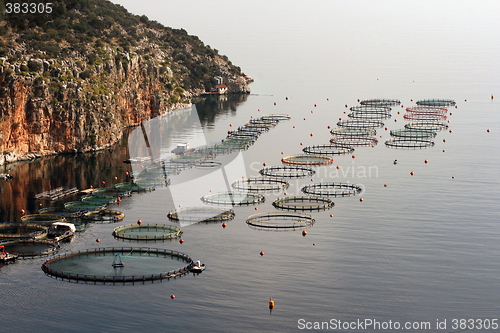 Image of fishfarm plant