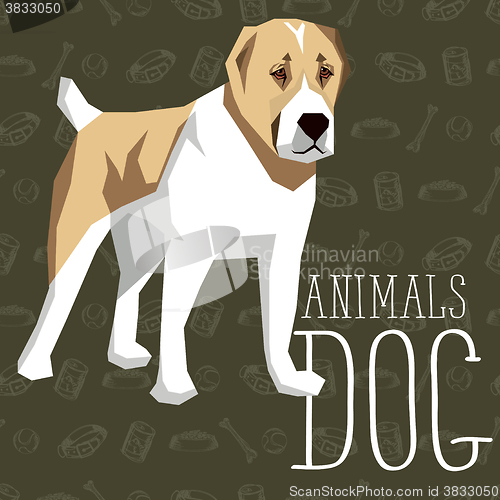 Image of Vector Dogs Collection