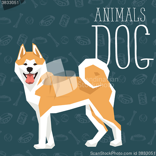 Image of Vector Dogs Collection