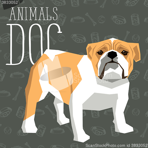 Image of Vector Dogs Collection