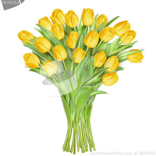 Image of Tulips on white background. EPS 10