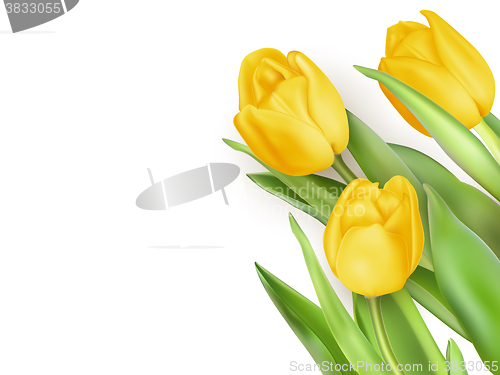 Image of Yellow Tulips Flowers. EPS 10