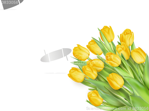Image of Tulip. Pinktulips. EPS 10