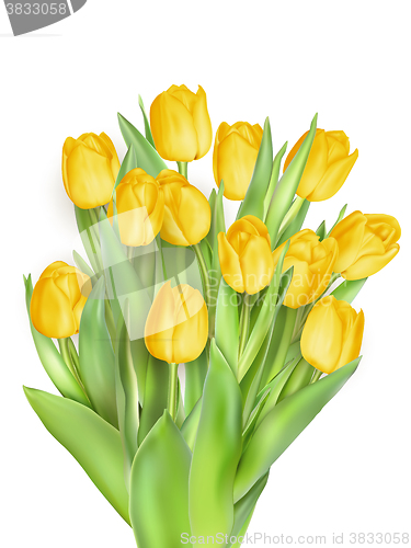 Image of Bunch of tulips. EPS 10