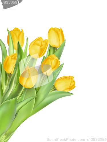 Image of Tulip flowers as a holiday postcard. EPS 10