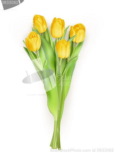 Image of Bunch of tulips. EPS 10