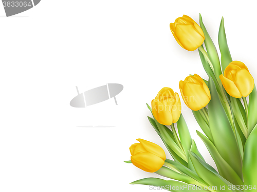 Image of Yellow Tulips Flowers. EPS 10