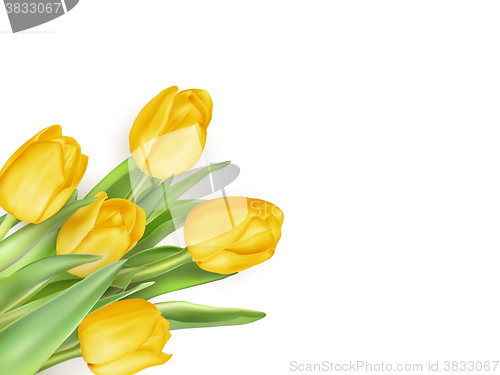 Image of Tulip flowers as a holiday postcard. EPS 10