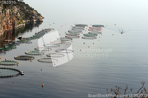 Image of fish farm