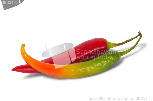 Image of Chili Pepper