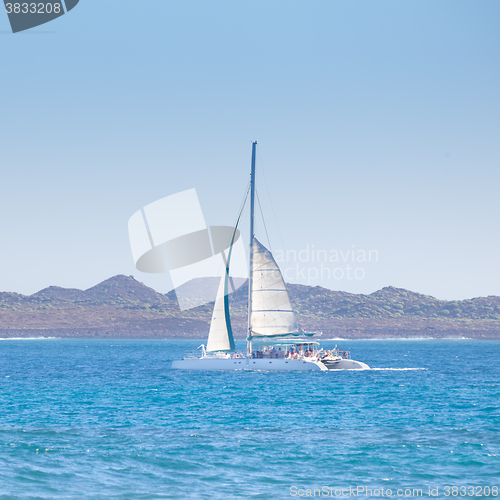 Image of Catamarans cruising the blue sea.