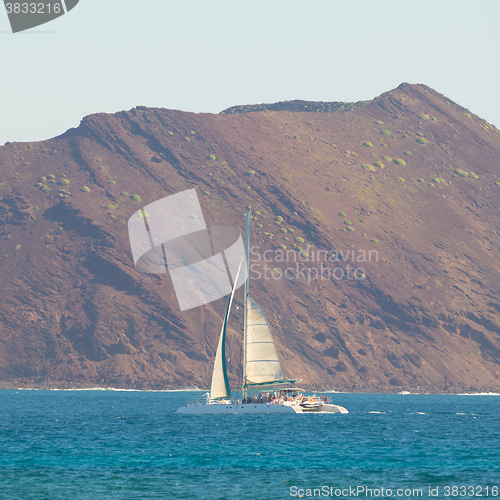 Image of Catamarans cruising the blue sea.