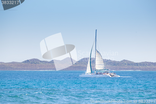 Image of Catamarans cruising the blue sea.