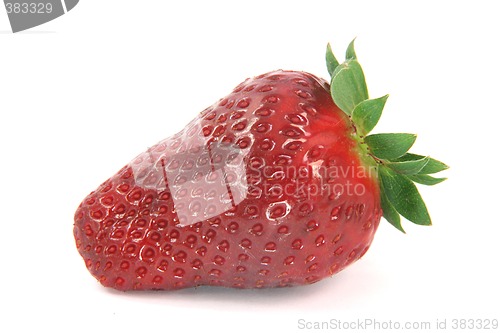 Image of big strawbbery