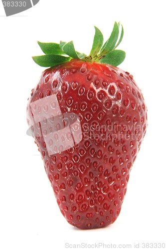 Image of vertical strawberry