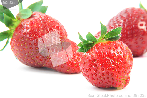 Image of focus on right strawberry