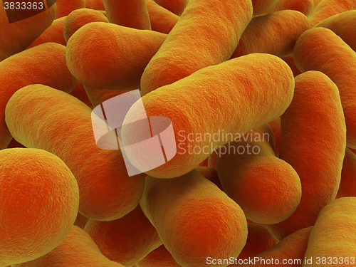 Image of Bacteria strain