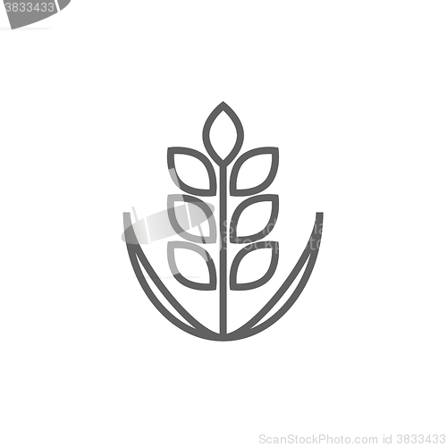 Image of Wheat line icon.