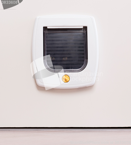 Image of Inside view of a regular white cat flap, cat comming through