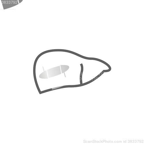 Image of Liver line icon.