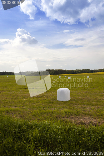 Image of Photo agriculture, Europe 