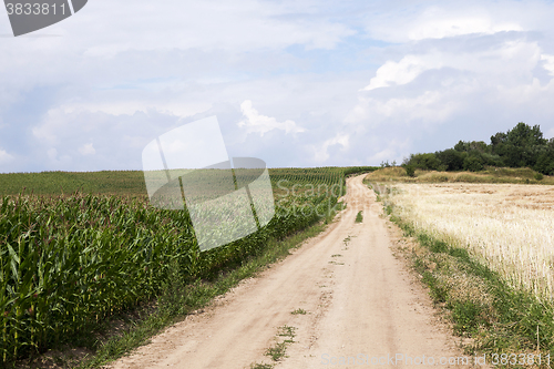 Image of road in a field  