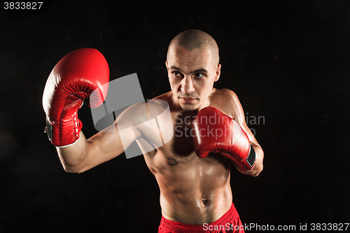 Image of The young man kickboxing on black
