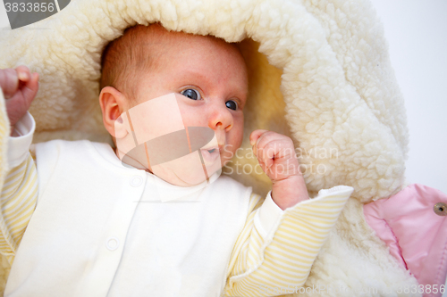 Image of Beautiful cute baby