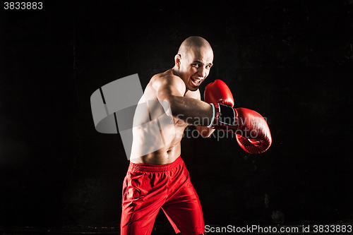 Image of The young man kickboxing on black