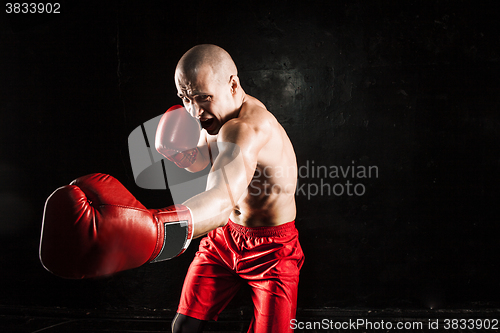 Image of The young man kickboxing on black