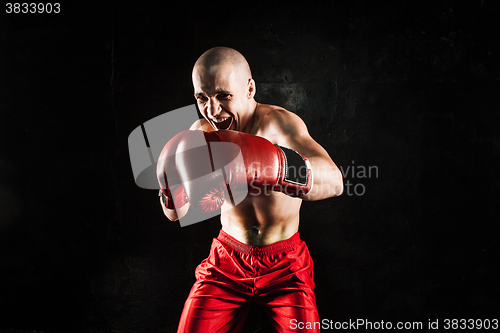 Image of The young man kickboxing on black