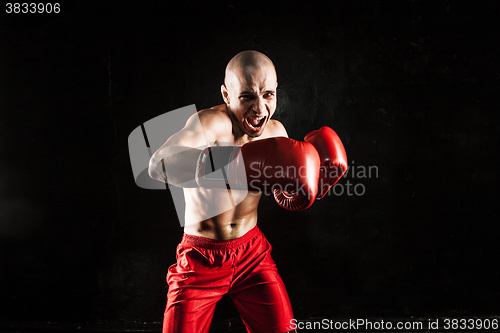 Image of The young man kickboxing on black