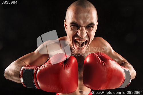 Image of The young man kickboxing on black  with screaming face