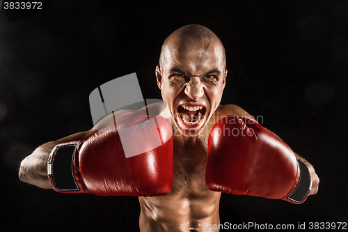 Image of The young man kickboxing on black  with screaming face
