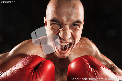 Image of The young man kickboxing on black  with screaming face