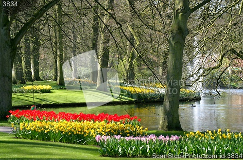 Image of garden view in spring time