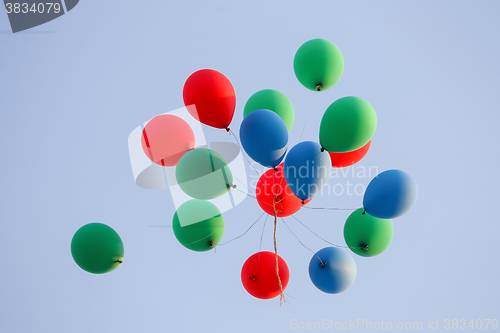 Image of Colorful balloons