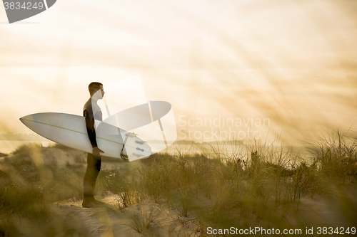 Image of Searching for the swell