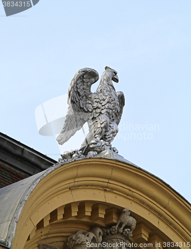 Image of Phoenix Bird Szeged